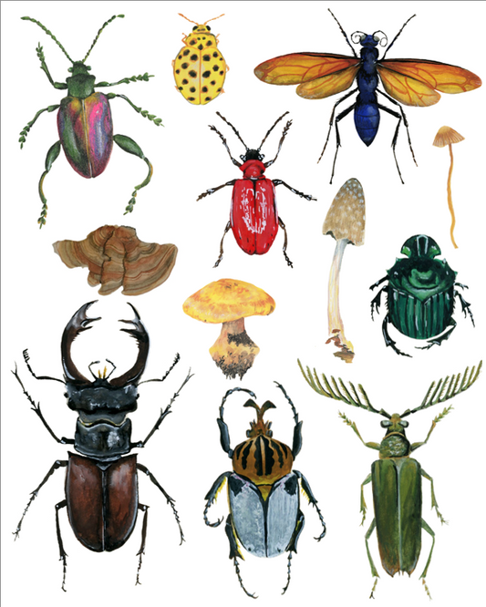 Mushroom and Bug Sticker Sheet